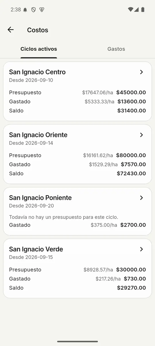 Costos por ciclo activo: presupuesto, gastado y saldo de cada lote, con su costo por hectárea