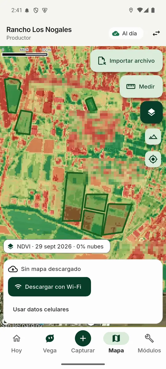 Mapa con el contorno de los lotes y la capa NDVI del 29 de septiembre con 0 % de nubes