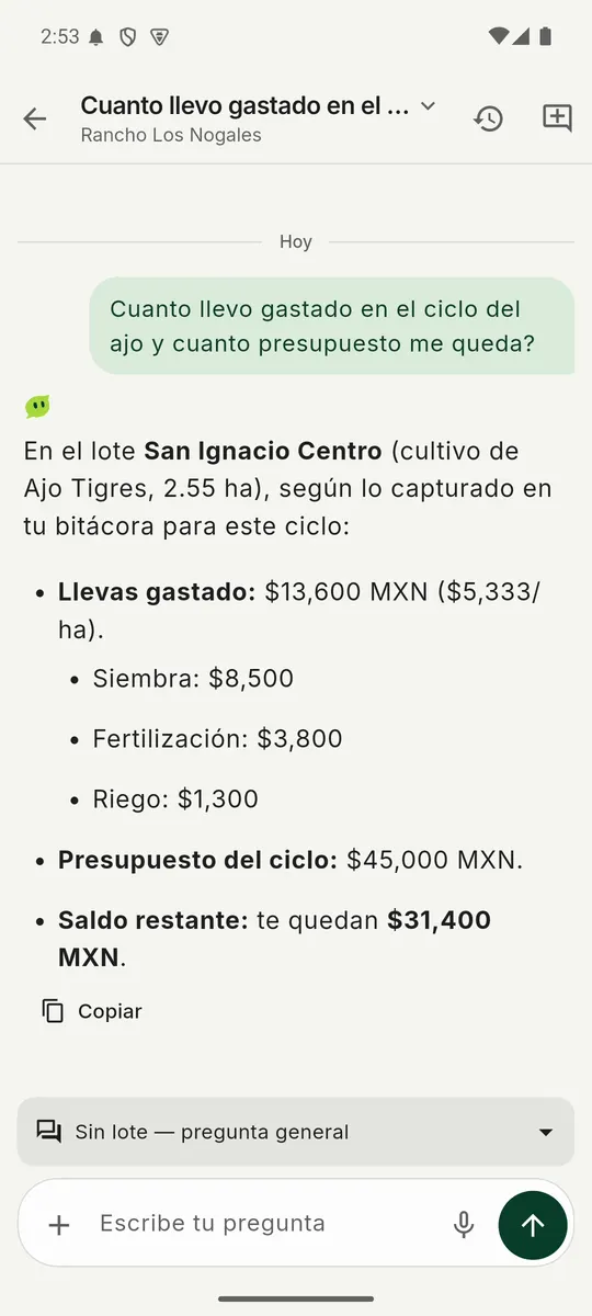 Chat de Vega en la app: a la pregunta de cuánto se lleva gastado en el ciclo del ajo responde $13,600 gastados, presupuesto de $45,000 y saldo de $31,400
